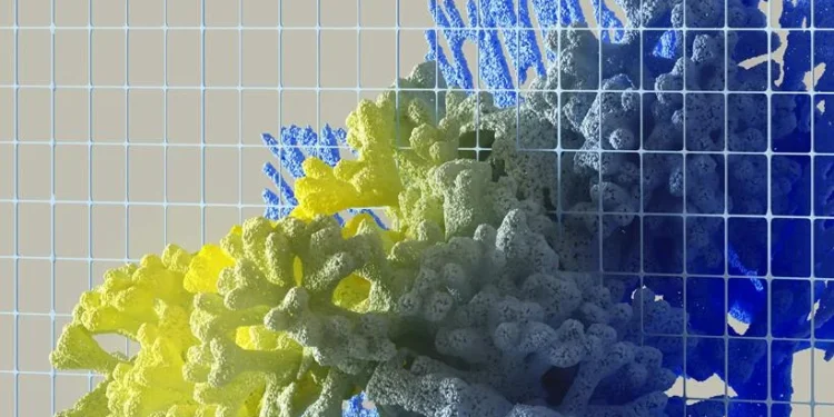 What Are Arrays in Data Structures? 1 arrays in data structures
