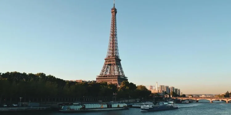 What Are Trees in Data Structures? 1 understanding trees in programming